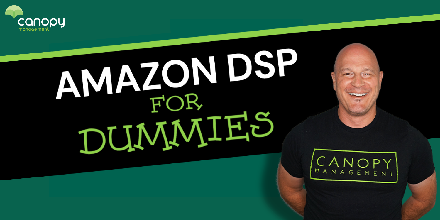 DSP for Dummies Webinar DSP for Dummies Webinar